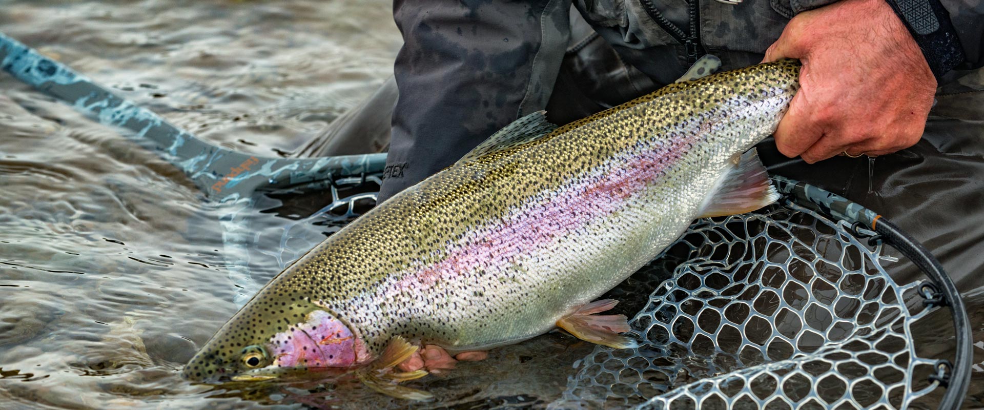 Fly Fishing Bristol Bay For Trophy Rainbow Trout and Salmon