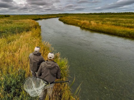 Kvichak River Bow Fishing Braids 800