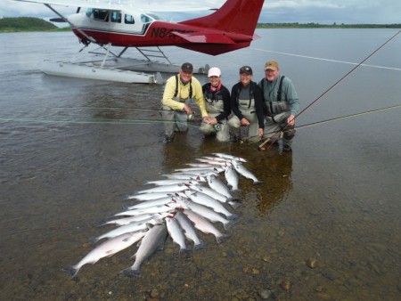Kvichak River Lodge Sockeye Fishing 800